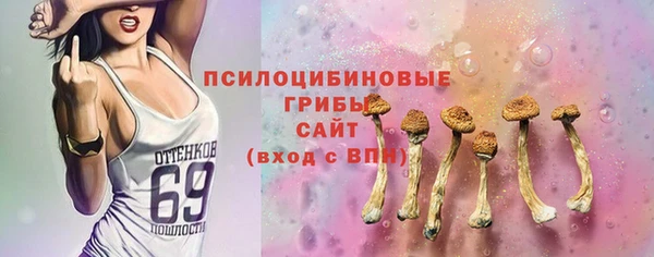 стаф Абдулино