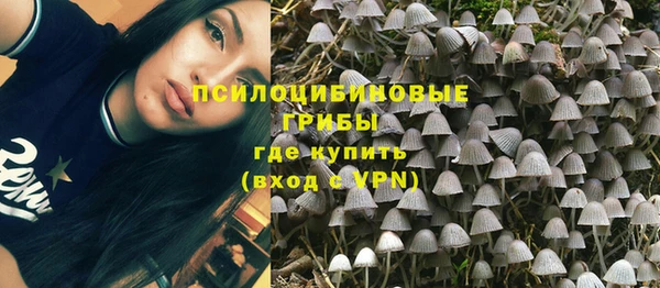 ешки Кукмор